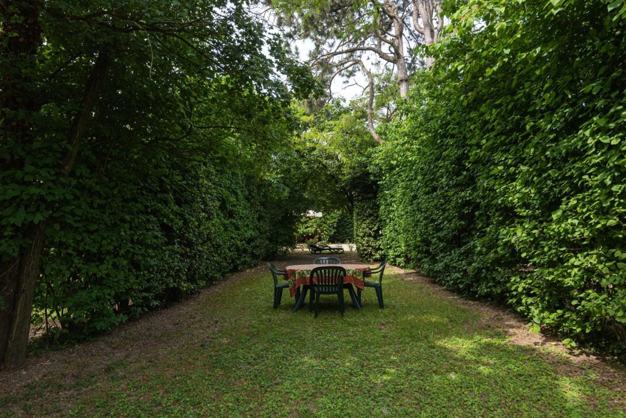 Country House Pisani 120Sqm Pernumia 外观 照片