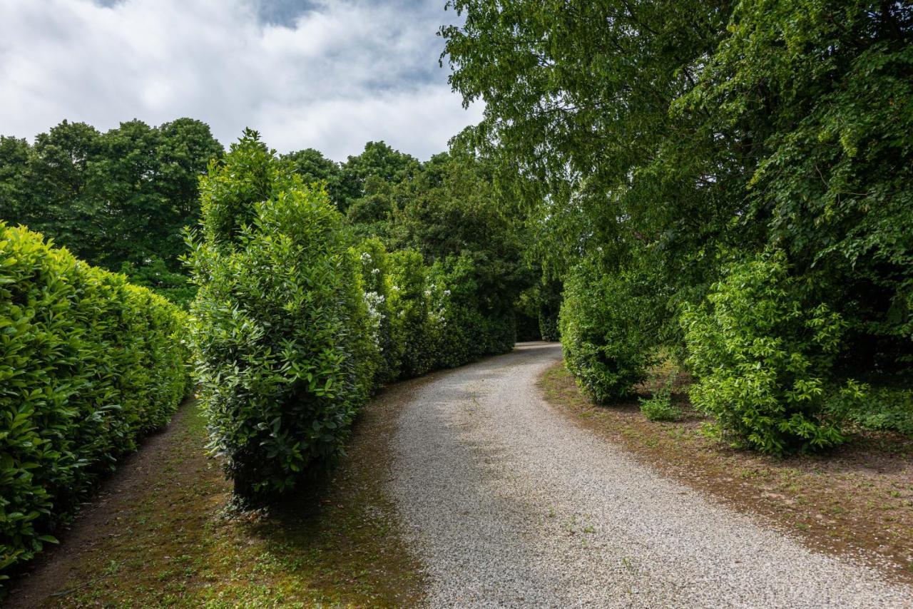 Country House Pisani 120Sqm Pernumia 外观 照片